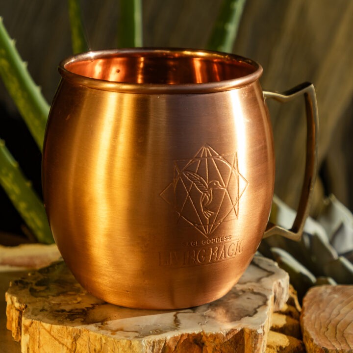 Living Magic Copper Mug