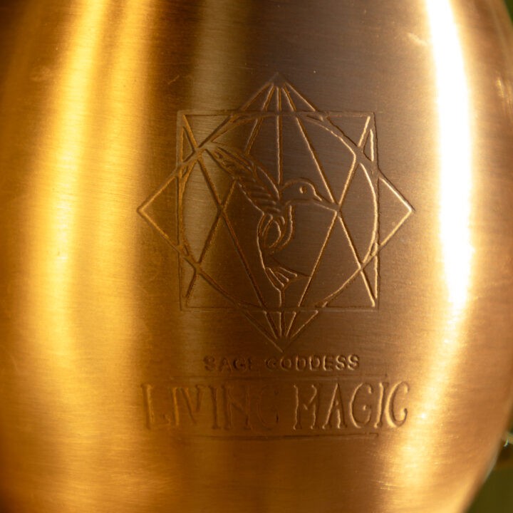 Living Magic Copper Mug