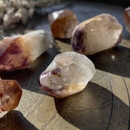 Polished Dreamcoat Lemurian Quartz Point