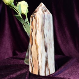 Petrified Wood Generator