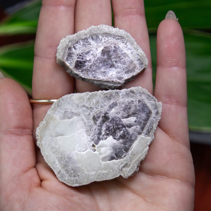 Sacred Geometry Bi-Color Lepidolite Slice