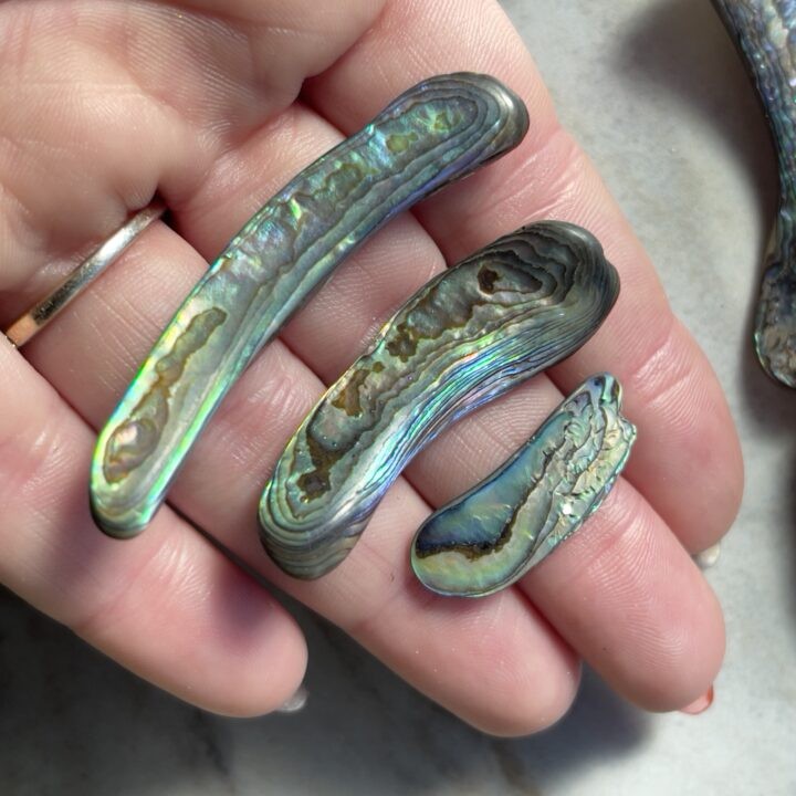 Tumbled Paua Abalone Rim