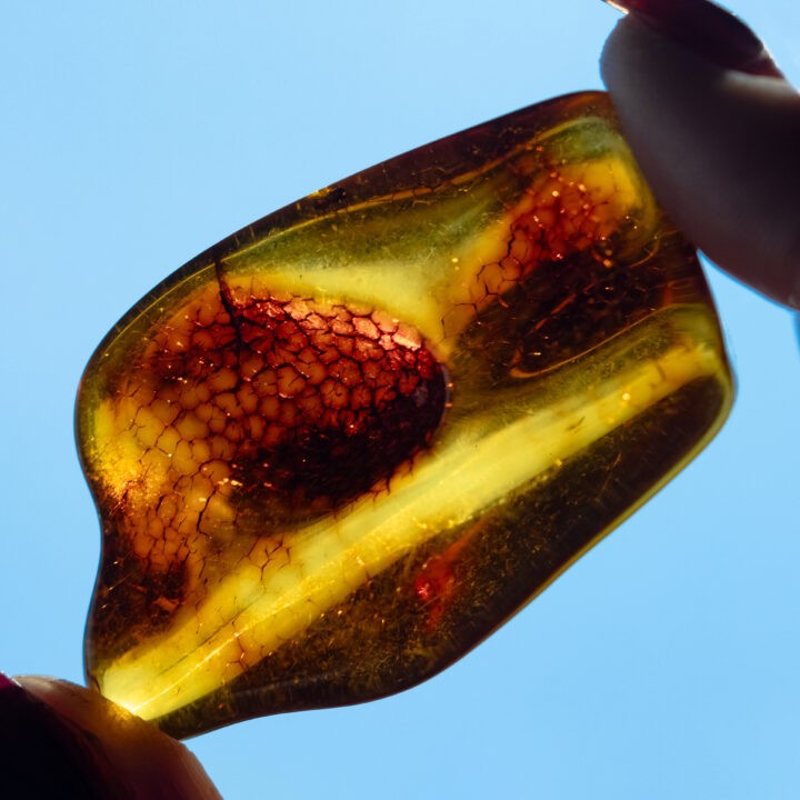 Polished Baltic Amber