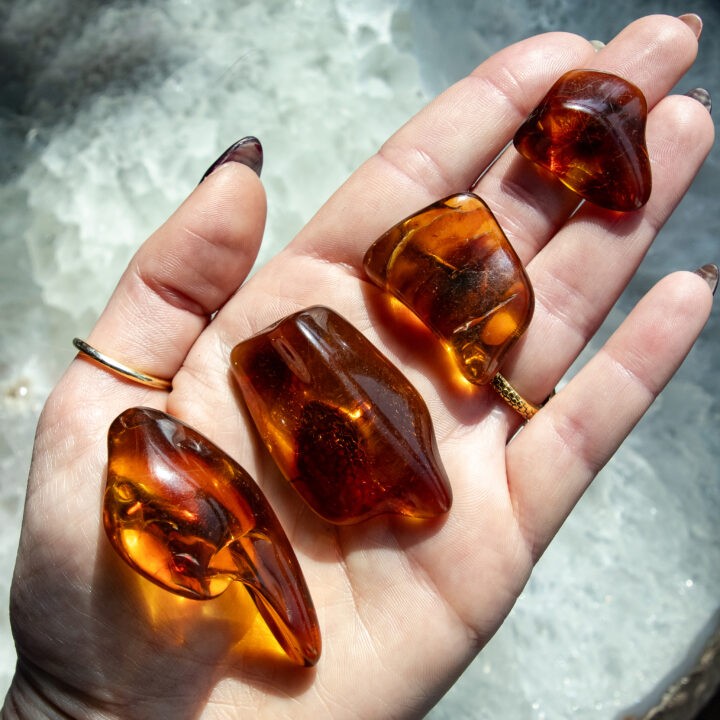 Polished Baltic Amber