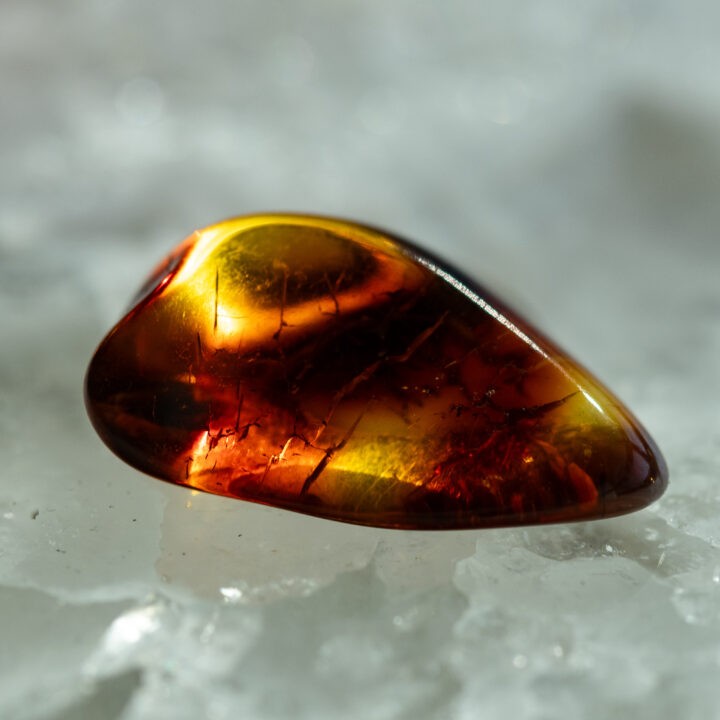 Polished Baltic Amber