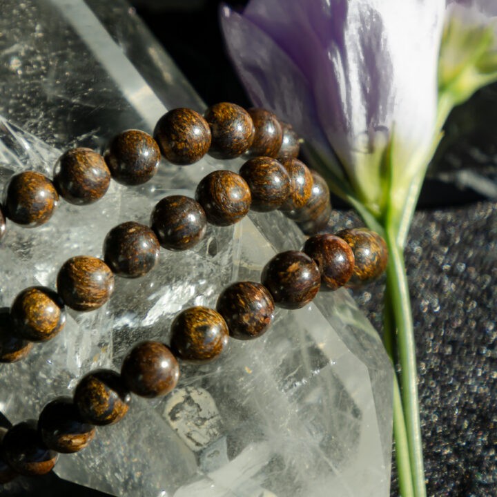 Bronzite Bracelet