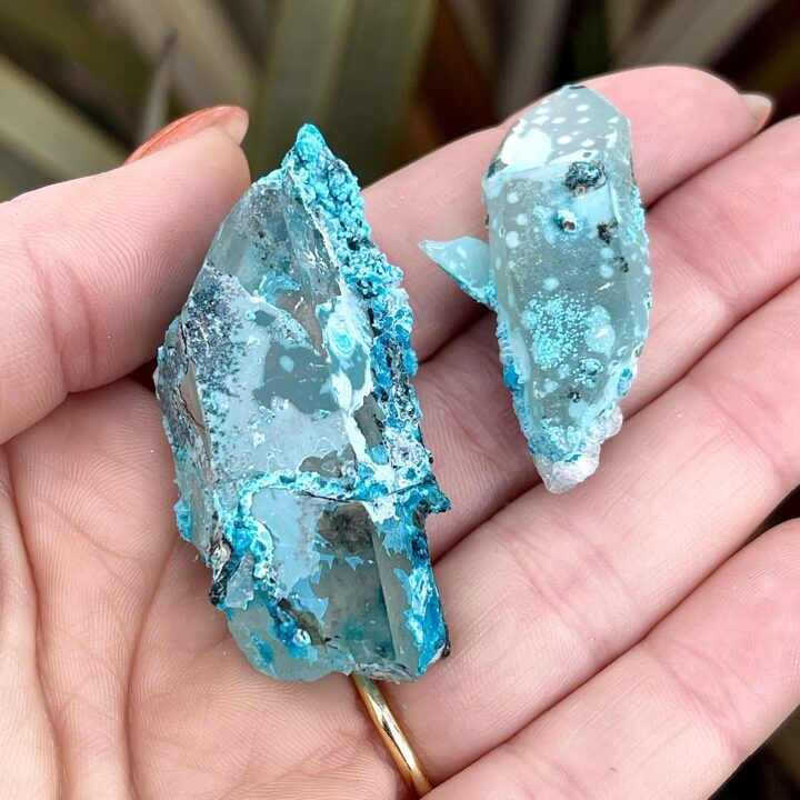 Chrysocolla on Quartz Point