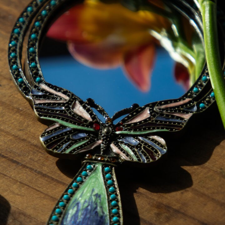 Handheld Butterfly Mirror