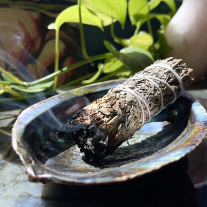 Blue Sage Smudge Bundle