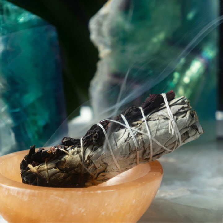 Hibiscus & White Sage Smudge Bundle