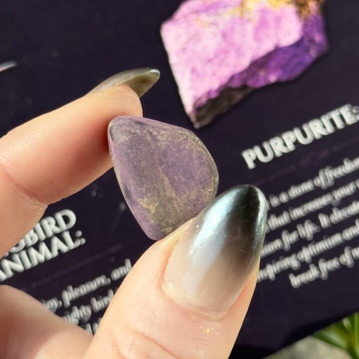 Hummingbird Spirit Animal Gemstone & Perfume Duo