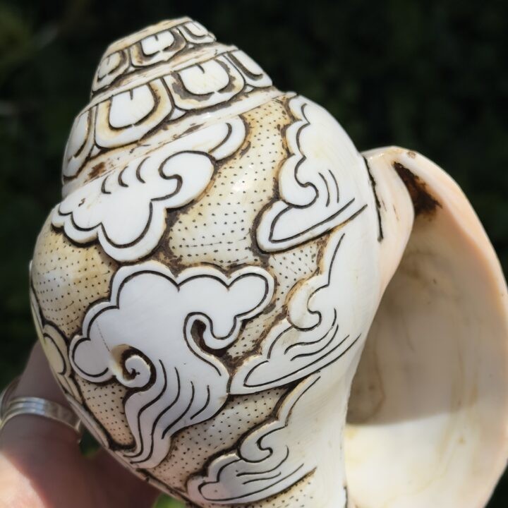 Gemstone Sale: Carved Buddha Conch Shell