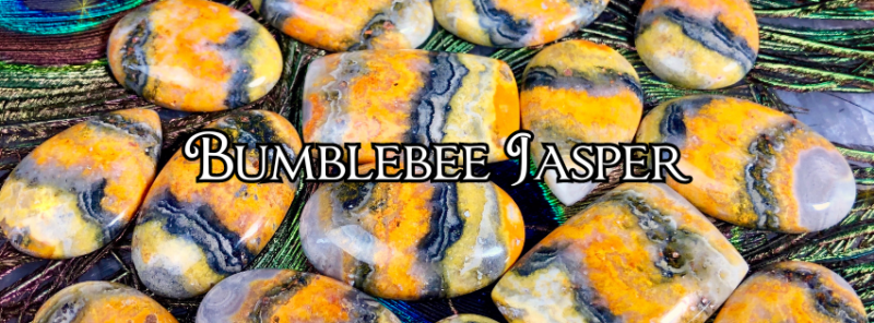 5 Ways to Work with Bumblebee Jasper