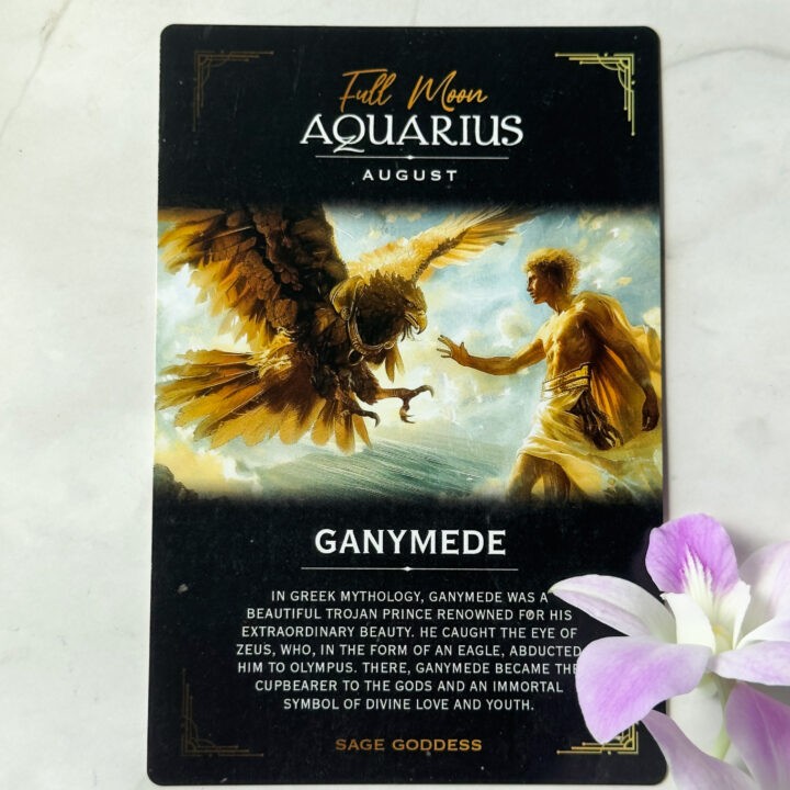 Aquarius Full Moon Ceremony Set — Enter the Temple