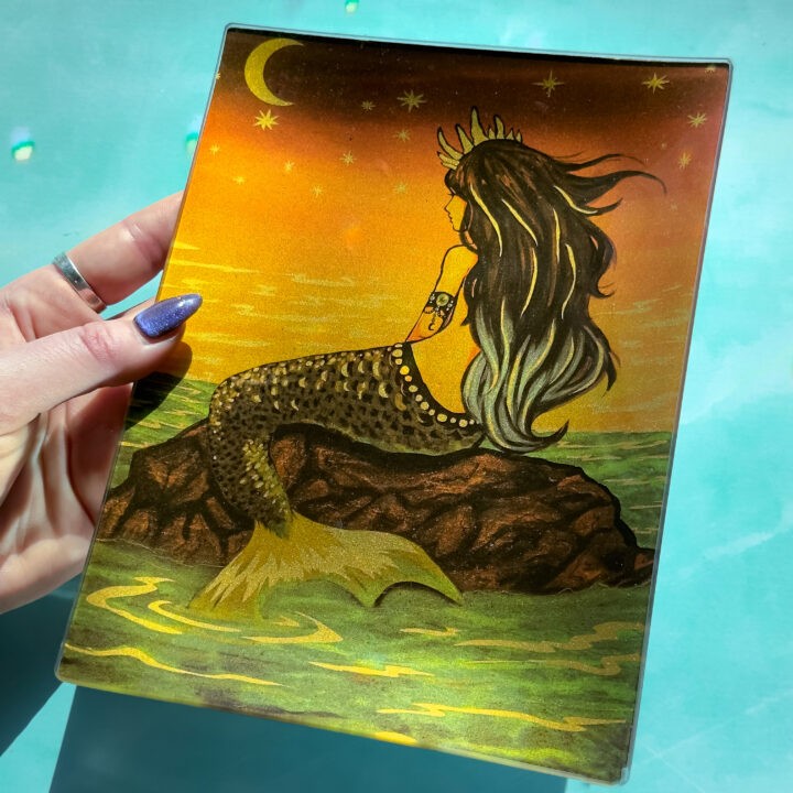 Mermaid Guidance Tray Set