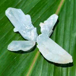 Natural Blue Amphibole Quartz Point