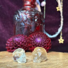 Citrine Mini Skull