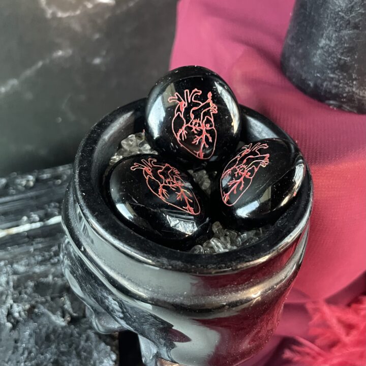 Anatomical Heart Mini BeeBop