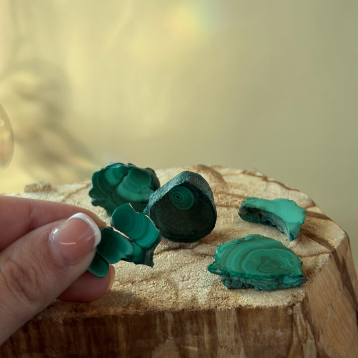 Polished Malachite Stalactite Slice