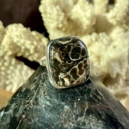 Turritella Agate Ring with Hidden Black Tourmaline