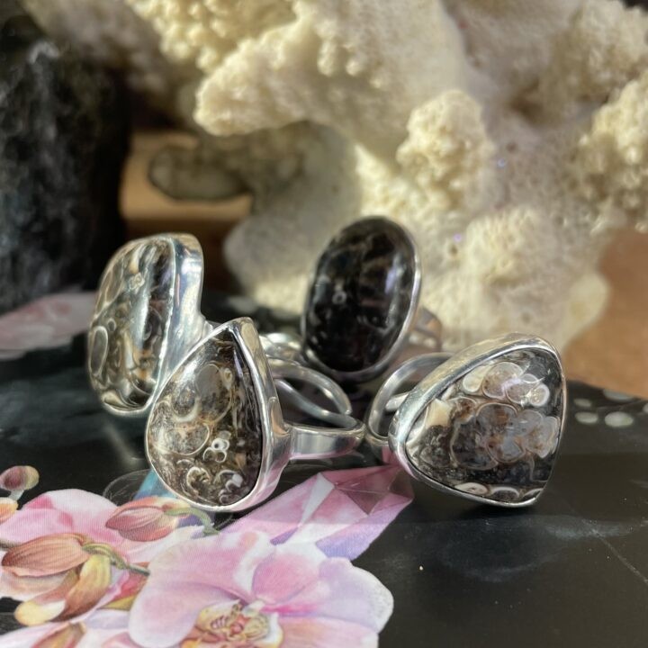 Turritella Agate Ring with Hidden Black Tourmaline