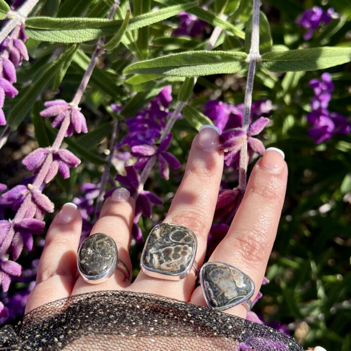 Turritella Agate Ring with Hidden Black Tourmaline