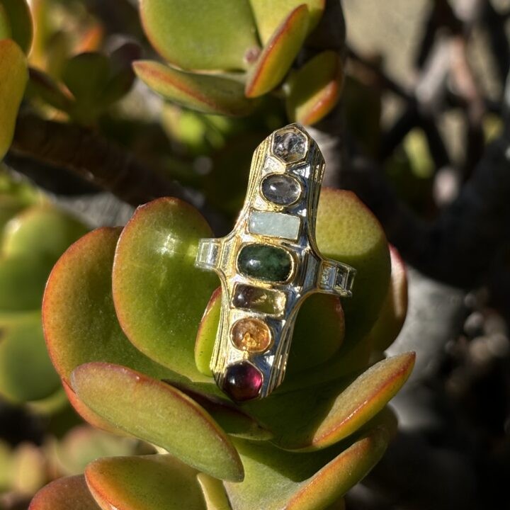 7 Chakra Spectrum Ring