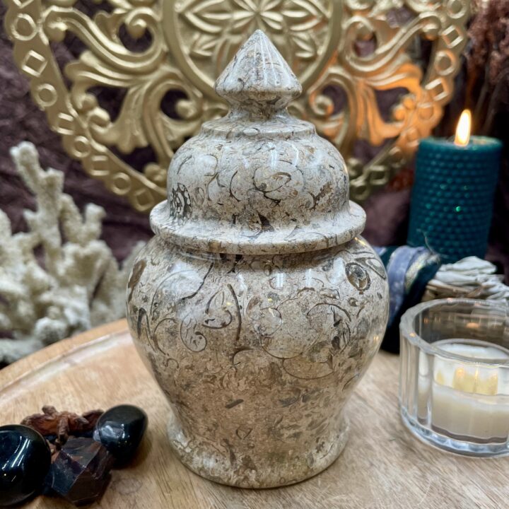 Fossil Coral Jasper Jar