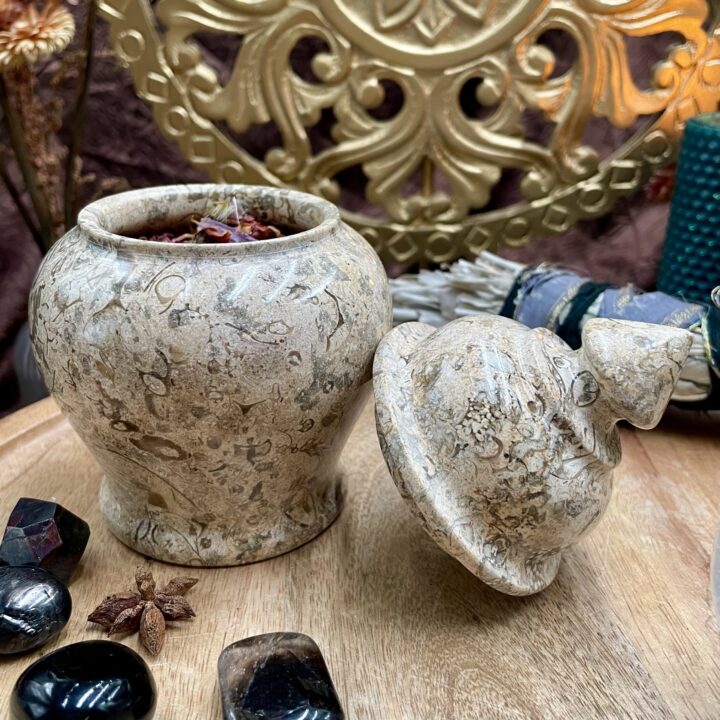 Fossil Coral Jasper Jar